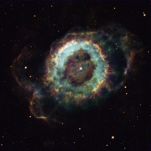 anightintheforest:  infinity-imagined:  A collection of planetary nebulae; clouds of ionized gas that form as red giant stars die and cast off their outer layers.  This process enriches interstellar space with heavy elements that go on to form new stars