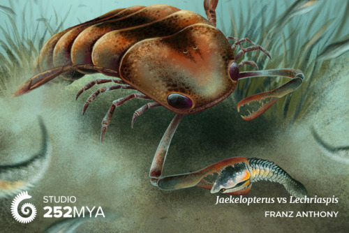 My latest for Eons is out! It’s about the largest arthropod ever that snatched vertebrates for