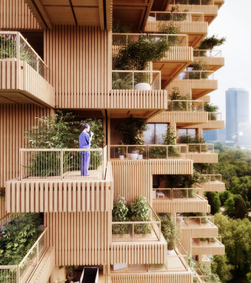 archatlas:Penda proposes Toronto Tree Tower built from cross-laminated timber modulesPlants and tree