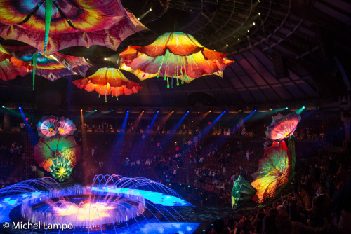 michellphoto: Le Rêve, The Dream. I’d come back to Las Vegas just to see this show again