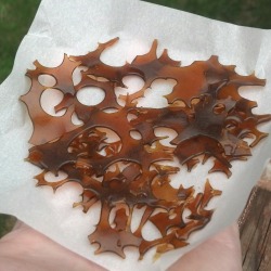 johannesnw:dewaxed blackberry kush shatter