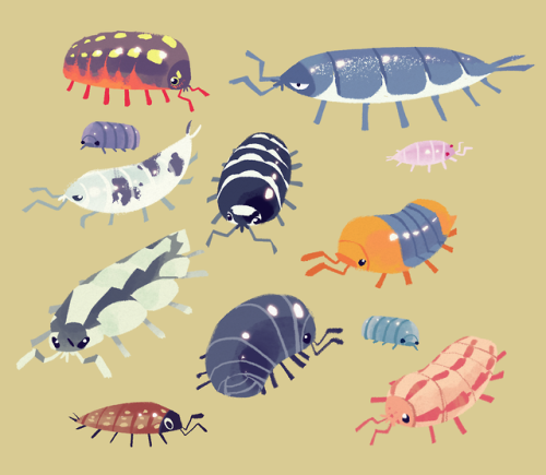 bedupolker: just some of our favorite terrestrial crustaceans!