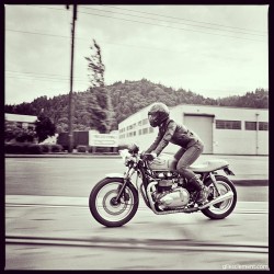 racecafe:  ewuarro:  Moto Lady https://www.facebook.com/motolady?fref=photo  Over Rail Our 20,000th POST = THANK YOU ALL!!! 