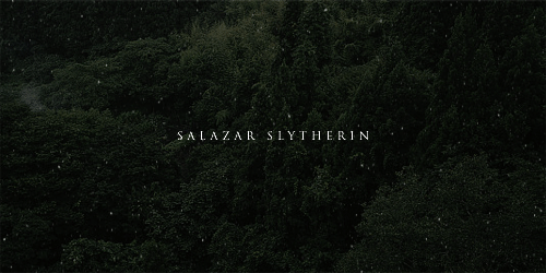 aly-naith:falling seriesHarry Potter - Hogwarts Founders