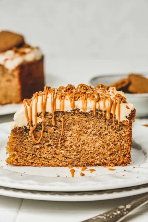 fullcravings:  Cookie Butter Biscoff Cake porn pictures