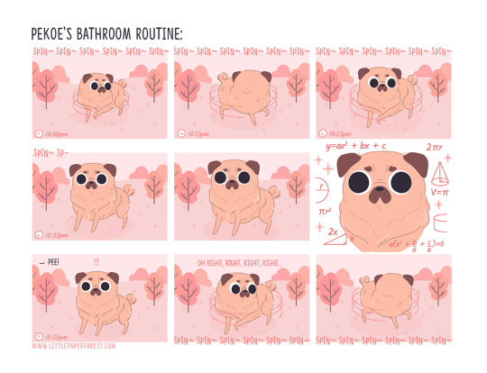 Pekoe’s Bathroom Routine.
I’ve never met a dog who needed to be reminded to go to the bathroom… I wonder what she’s thinking...