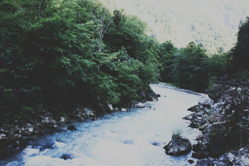 fiskarna:  by Interference- on Flickr. 