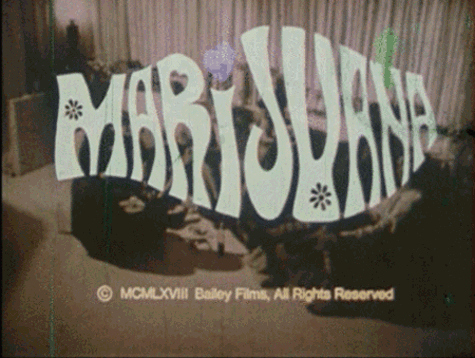calebfuzz666 - Evil Hippie 666