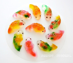 simonsaquascapeblog:  Other: Koi fish jelly recipe