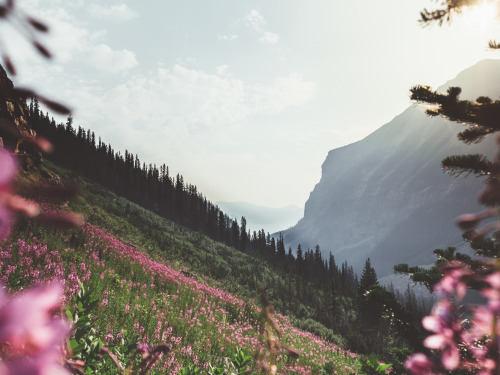 Plain of Six Glaciers - Lake Louise, Banff, Alberta, Canada