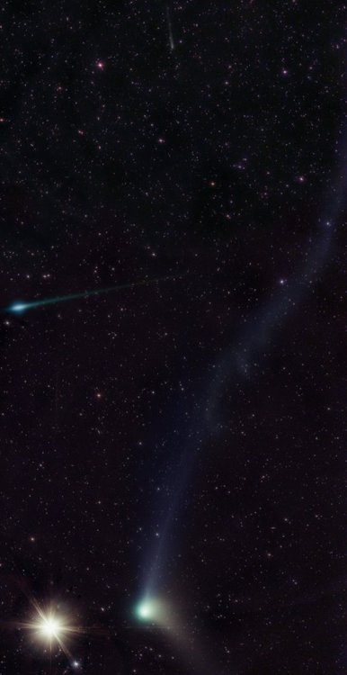 the-wolf-and-moon - Comet Borrelly, Comet Catalina and Bright...