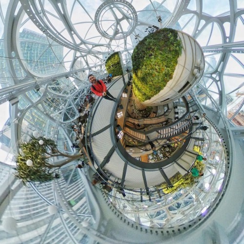 I’ve been dying to take my 360 camera inside the #amazonspheres and yesterday was finally the day!!!