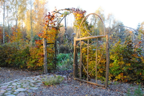 Autumn in Kasubian garden of Kasia and Andrew Bellingham