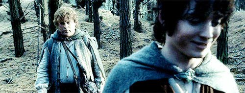 Our Favorites: [Day 05/24] Anastasias FavoriteFriendship (Lord Of The Rings) Frodo And Sam 