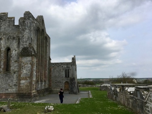 April at Ardfert Cathedral, Ireland