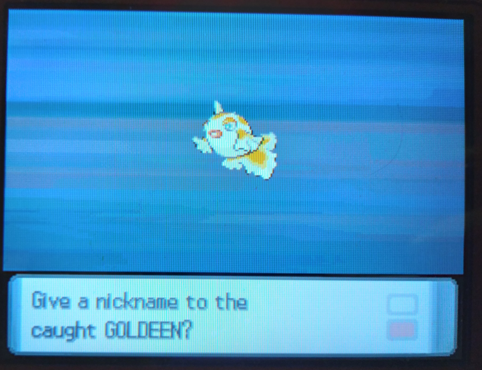 Shiny Goldeen Explore Tumblr Posts And Blogs Tumgir Shiny Goldeen Explore Tumblr Posts And Blogs Tumgir