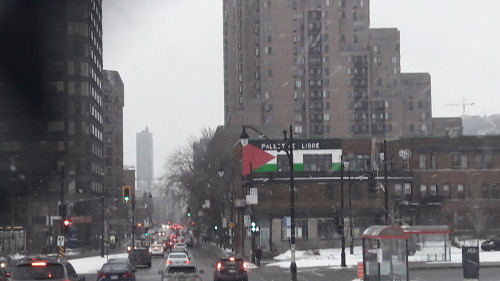The flag of Palestine in Montreal, Quebec, Canada. It says “Free Palestine” in French