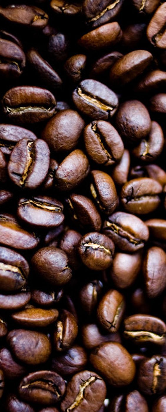 Your Coffee Guru