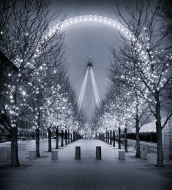 artblackwhite:  Wheel by Fuzzypiggy London,