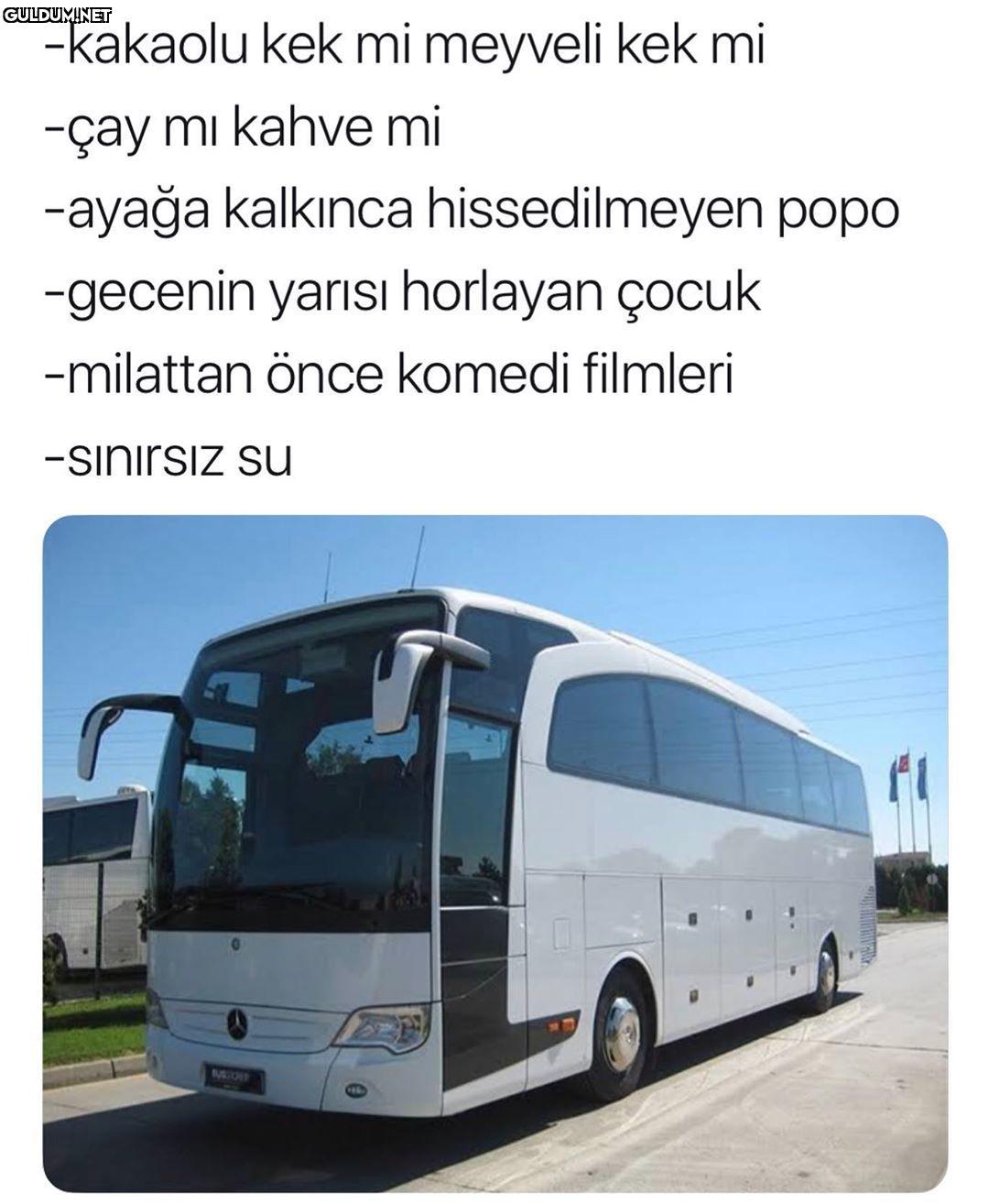 -kakaolu kek mi meyveli...