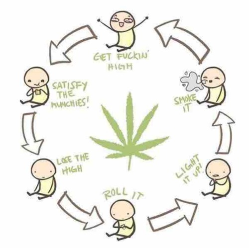 higheramerica:  How winter break has been going…