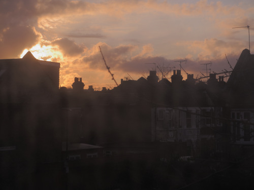 Harringay, London; 6.12.2020