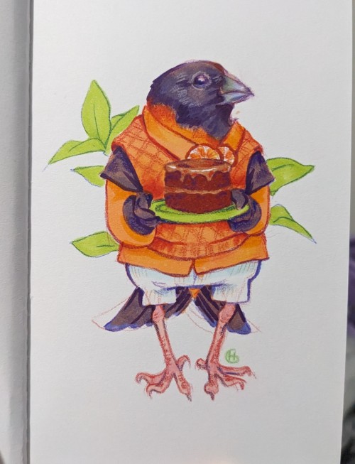 Avian August 2023 Day 1 - Red Siskin! With Chocolate Orange Cake