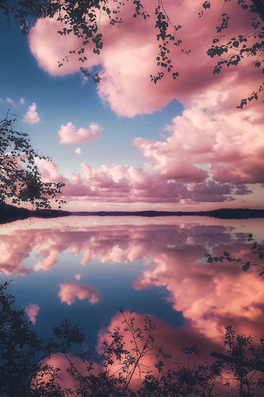 outdoorspastelnature:Submit Your Own Pictures!!https://outdoorspastelnature.tumblr.com/submit