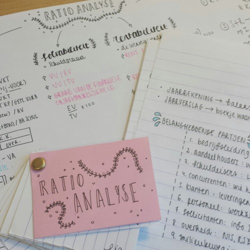studylou: Some of my economics notes for last week! Pretty proud of these babies! ♡