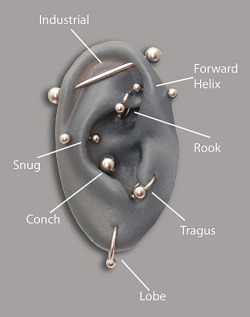 rinface:  Facial and Ear piercing Diagrams