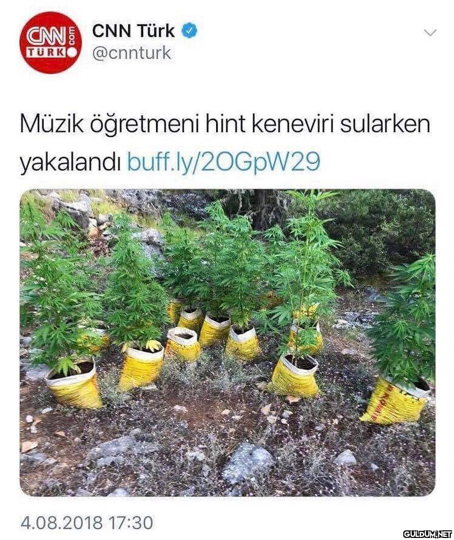 Müzik öğretmeni Snopp Dogg...