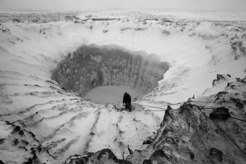 mamiffer:Siberia, Vladimir Pushkarev/Russian Centre of Arctic Exploration