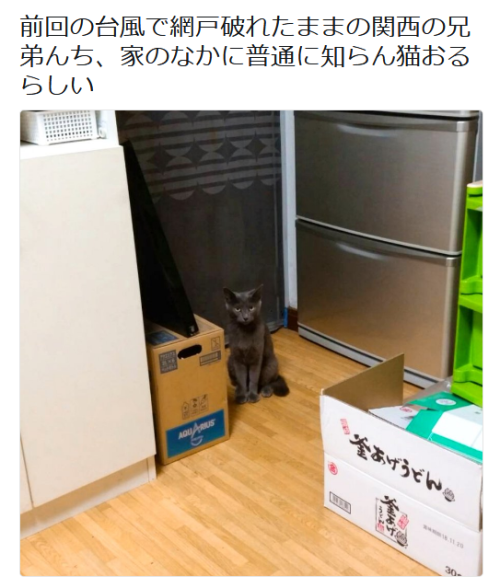 highlandvalley:  https://twitter.com/umai_KAJI/status/1046364549153054721/photo/1