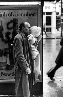 The-Night-Picture-Collector:david Hum, Man With Teddy Bear At Bus Stop, Wales, 1973