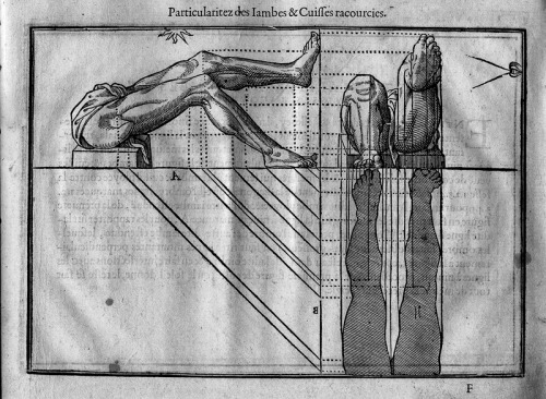 chaosophia218:Jehan Cousin - Proportions of the Human Body, “Livre de Pourtraiture”, 1608.
