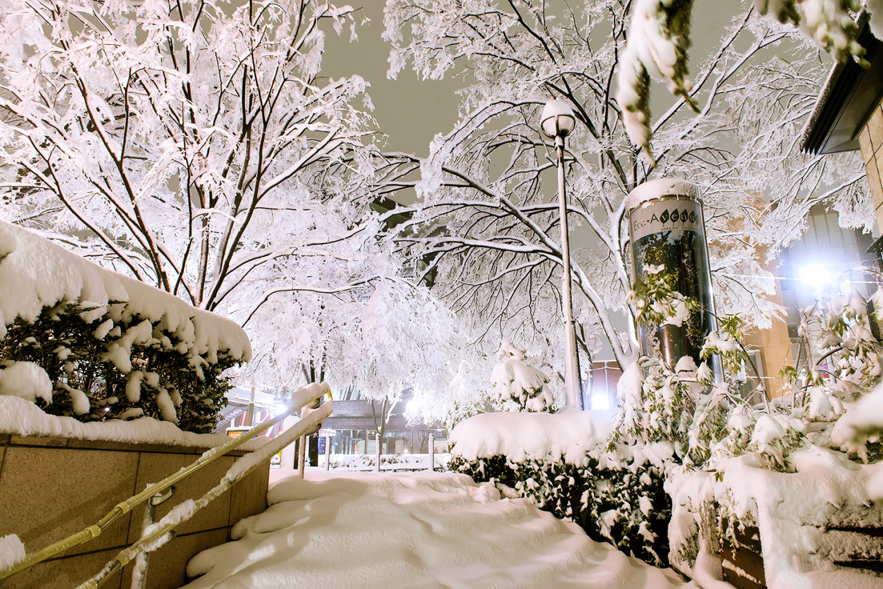 tokyo-fashion:  Super snowy Harajuku at 2am on Valentine’s Day night 2014. These