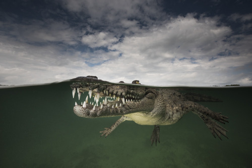 nevver:  Below the surface, Matty Smith