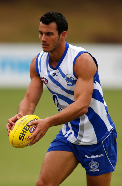 roscoe66:  Andrew Swallow of the North Melbourne Kangaroos 