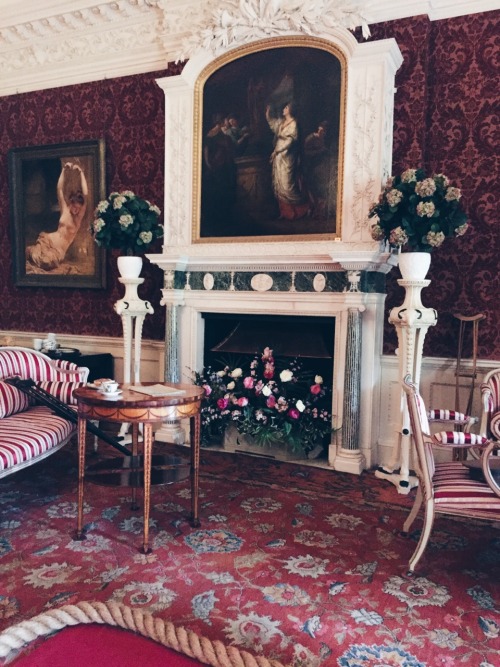 travels-ofadreamer: The Saloon at Stourhead details