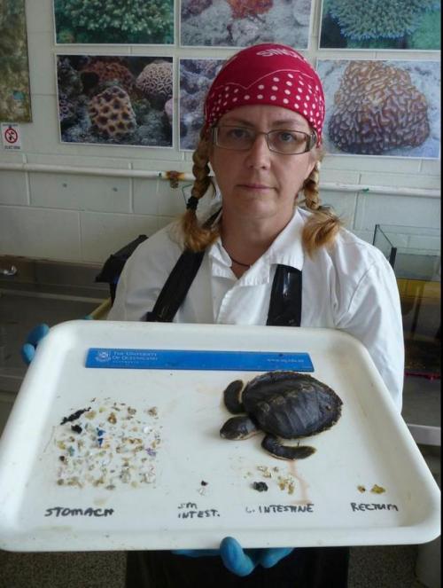 Dr Kathy Townsend from Turtles in Trouble with the debris extracted from a coastal sub-adult flat ba