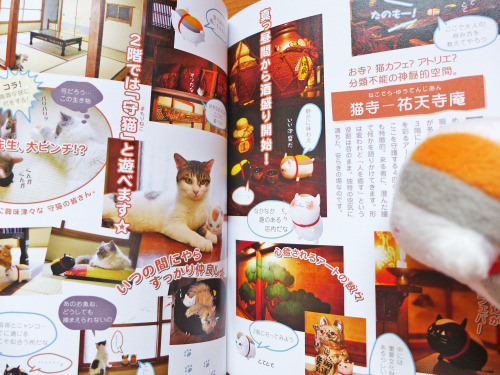 This time, Nyannyan-sensei is reading his own fan book, Nyanko-sensei Yuujinchou (ニャンコ先生友人帳 夏目友人帳公式ニ