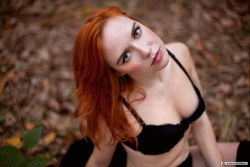 Hopefulsg:  Beautiful Set « See Into The Trees » Of Vivling &Amp;Lt;3 … Photo