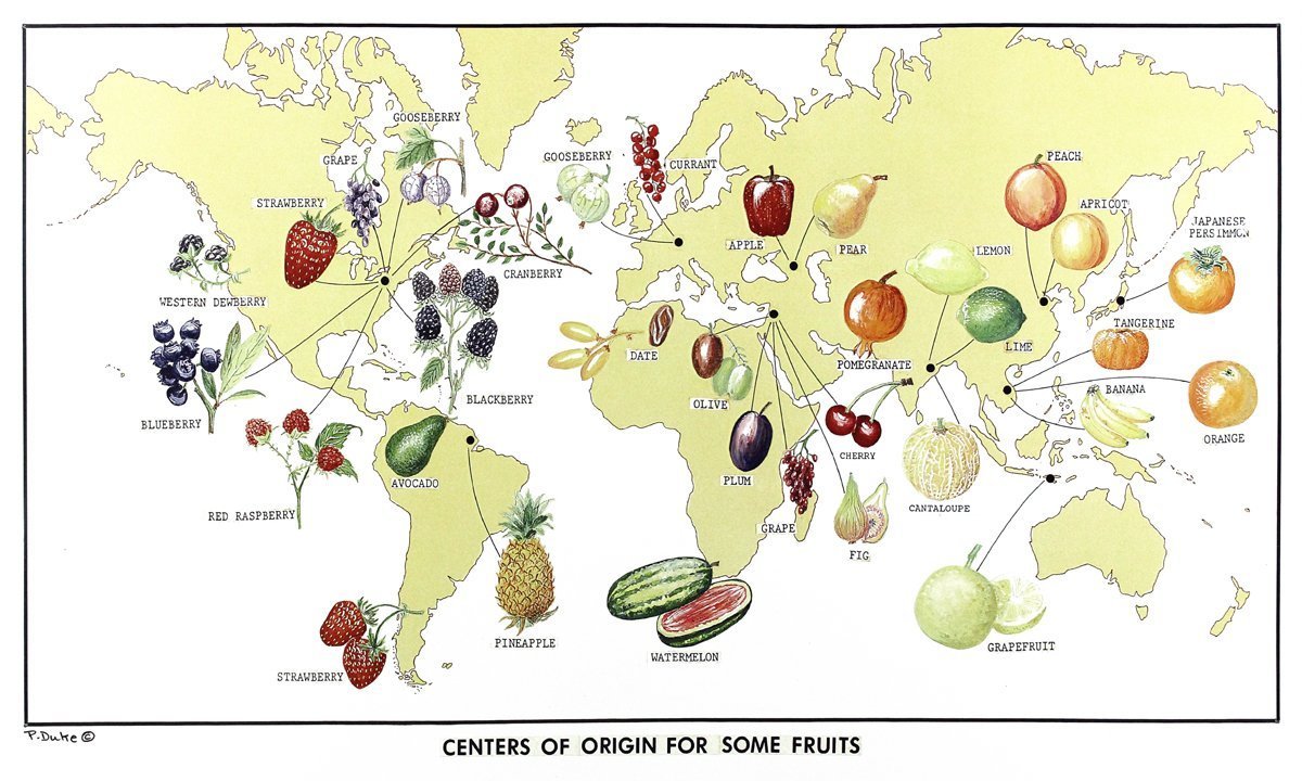 Interesting Maps And Charts On Tumblr Interesting Maps And Charts On Tumblr