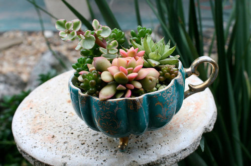 zen-light:  alien-space-princess:  annabelle-relin:  effervescentvibes:  paleception:
