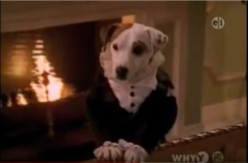 ettagatzhart:Wishbone is the only Mr. Darcy I approve of.