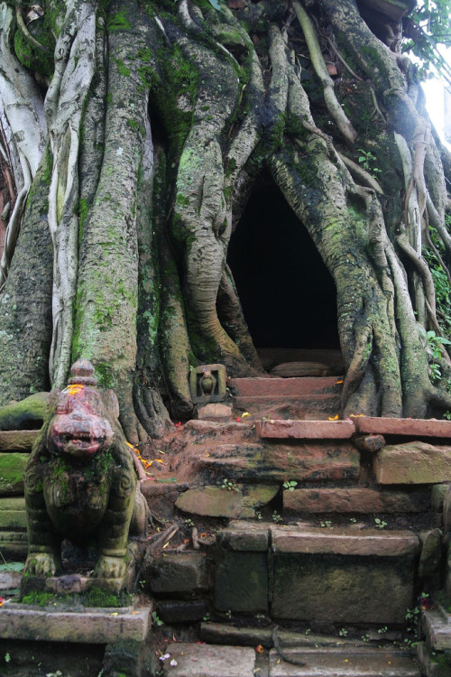 Mais uma árvore templo do Nepal.