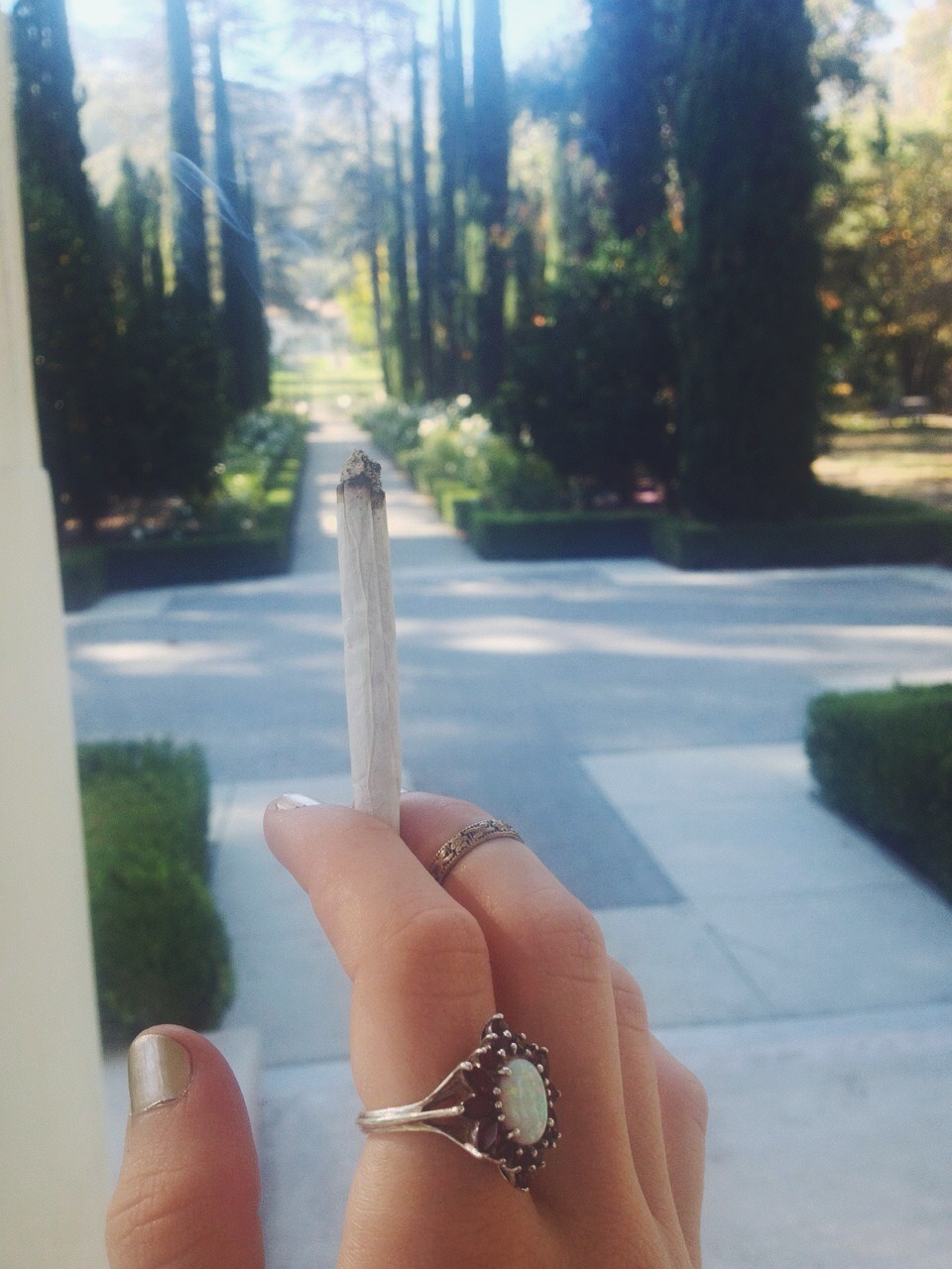 coffeepotsmokin:  bogusy:  Lovely days  Your ring is beautiful!