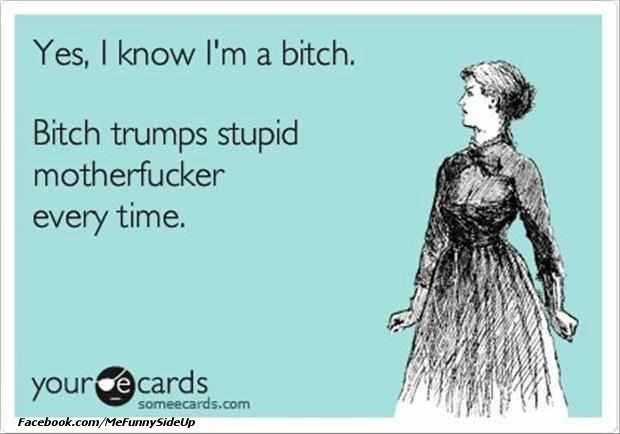 I&rsquo;m only a bitch when you push me to be, with your stupidity. And yes,