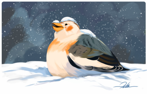 crypitd: ️ It’s snowing - on a Snow Bunting Bird - during this Fat Bird Friday ️I hope everyon