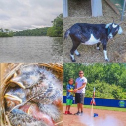 I had a cool nature day finding a nest  (besides the rocketry) 🐐🐣🚀 #nature #photography #goatsofinstagram #birdsnest  (at Lake Hopatcong, New Jersey)